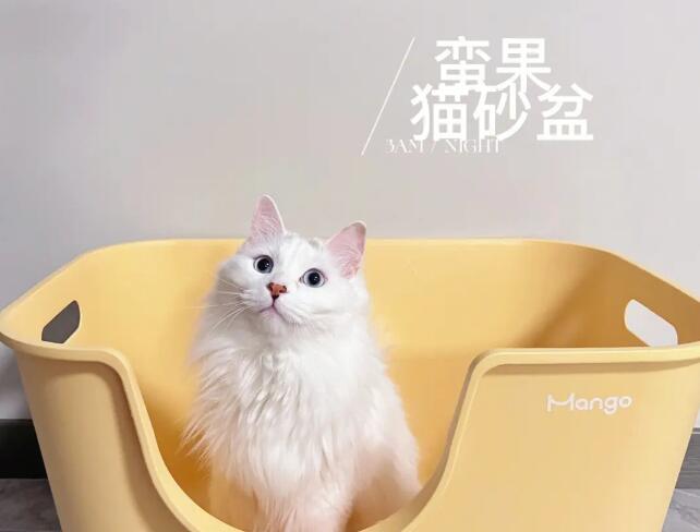 蛮果宠物mango猫砂盆好吗